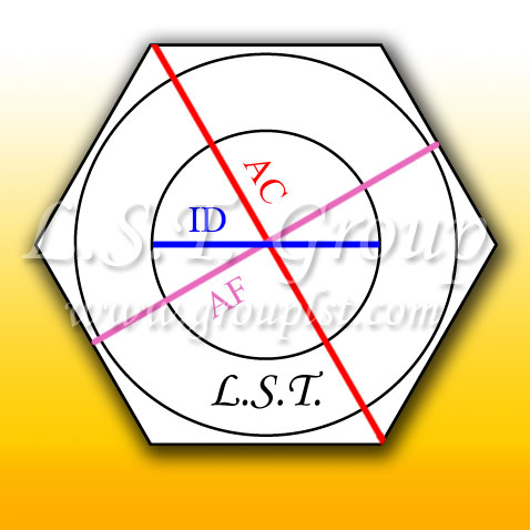 รูปวาดสกรูน๊อต, Hex Nut Illustrator