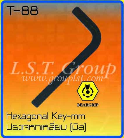 Hexagonal Key-mm